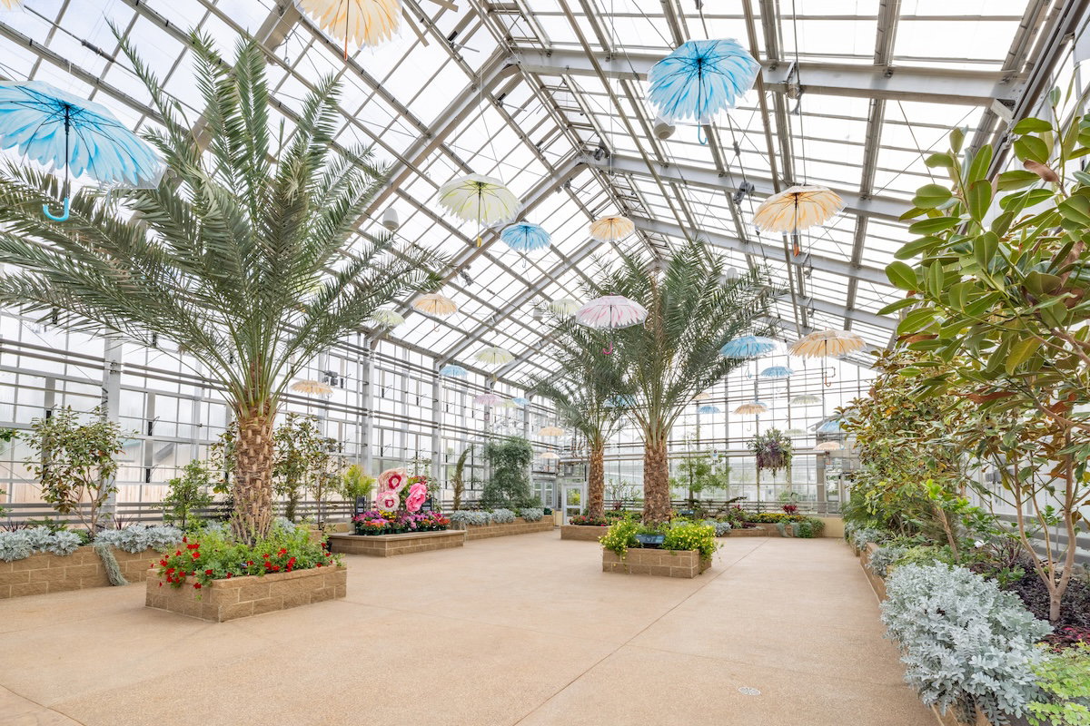 Plants of the Bible Conservatory