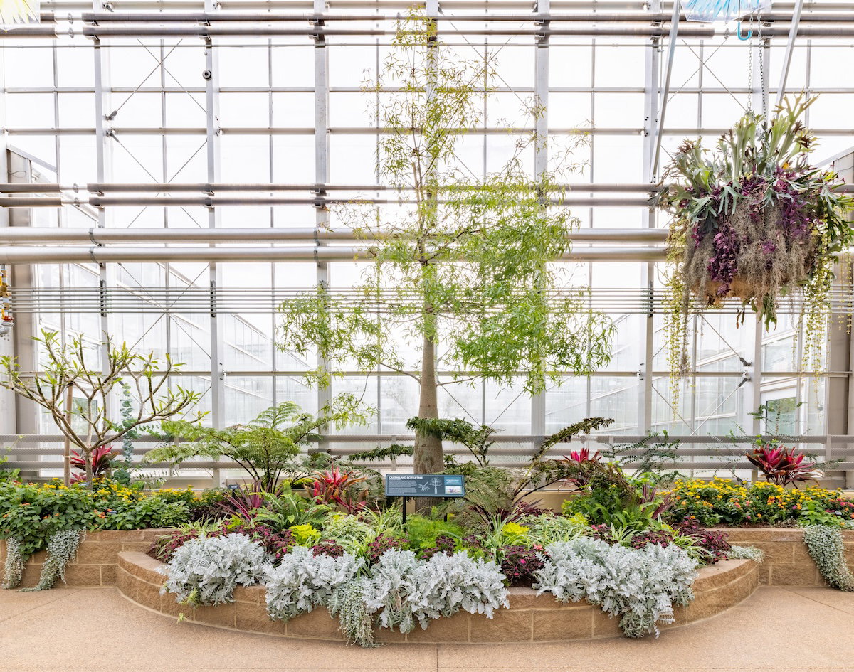 Plants of the Bible Conservatory