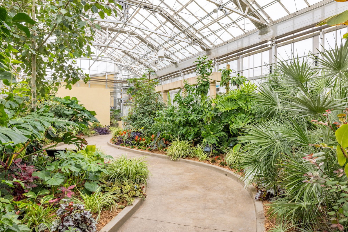 Plants of the Bible Conservatory