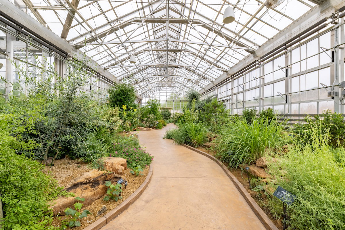 Plants of the Bible Conservatory