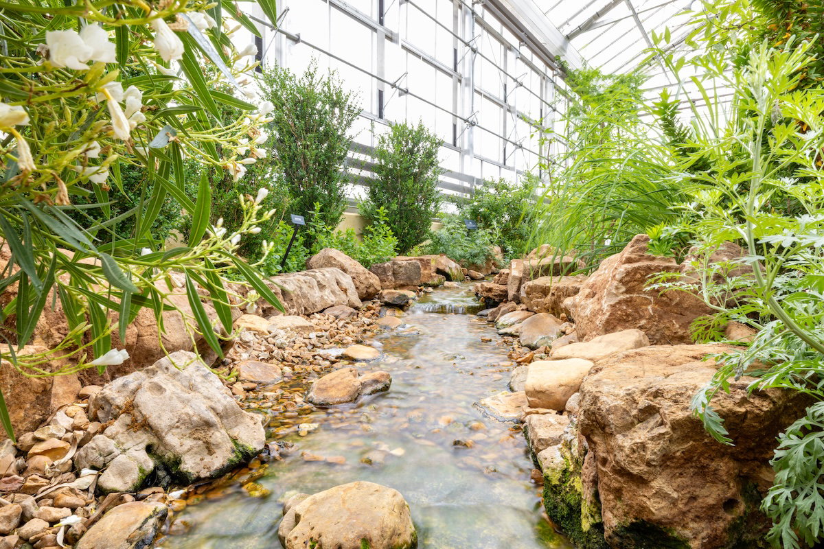 Plants of the Bible Conservatory
