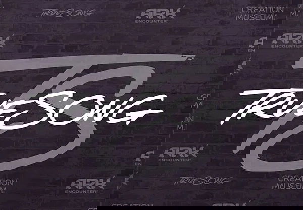 TrueSong Christmas Concerts