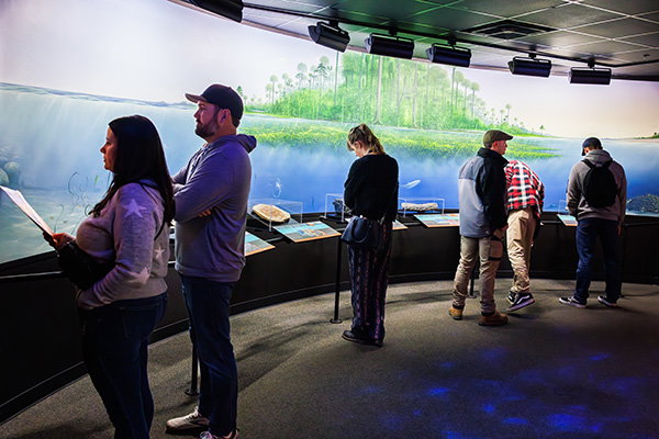 Group of people looking at exhibit