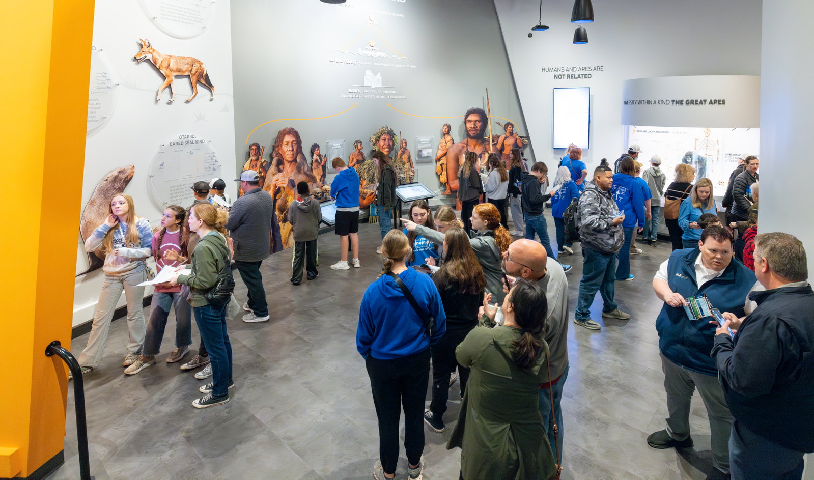 Group of people in Relevance Exhibit
