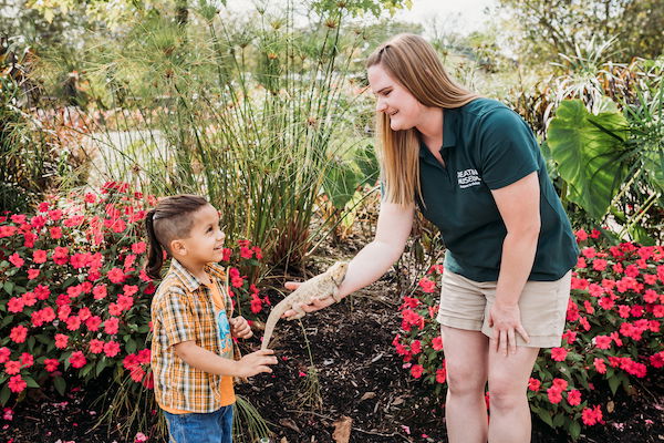 Zookeeper holding lizard for kid to pet