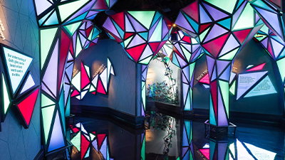 See Inside the Museum