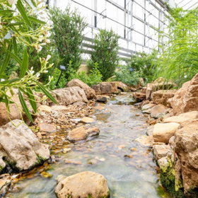Creation Museum Conservatory